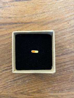 Orange and Yellow Pill Stud Earring
